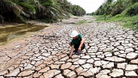 International rice prices hit 6-year high as Thailand and Vietnam face drought and Covid-19 International rice prices hit 6-year high as Thailand and Vietnam face drought and Covid-19