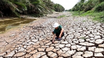 record drought and salinity with desperate fresh water shortage mekong delta crying for help