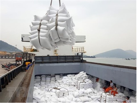 Vietnam's May rice quotas partly requested to be used for this month vietnams may rice quotas partly requested to be used for this month