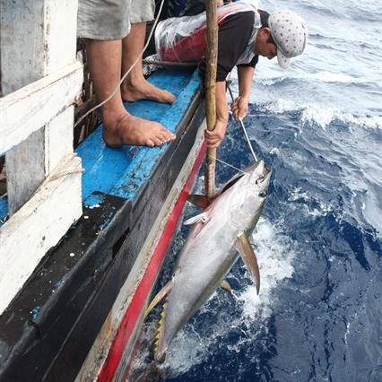 Vietnam strengthens international cooperation for the marine economy's sustainable development vietnam strengthens international cooperation for the marine economys sustainable development