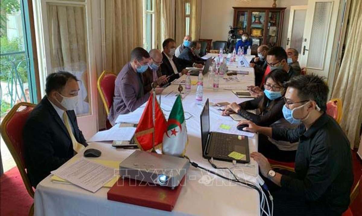A panoramic view of the workship in Algiers capital on November 4. (Photo: VNA) 2217 alg