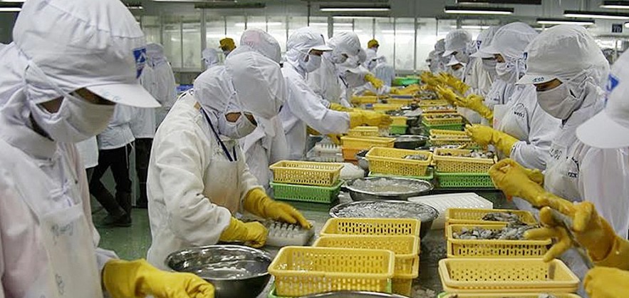 Vietnam, EU Reinforce Ties in FTA Implementation