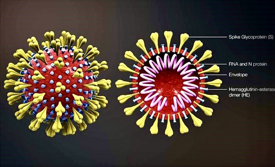 WHO experts agree COVID-19 is no longer a global health emergency. Photo: Internet WHO experts agree COVID-19 is no longer a global health emergency. Photo: Internet