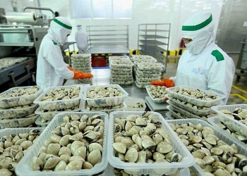 Vietnam's Economy After One Year Journey of UKVFTA
