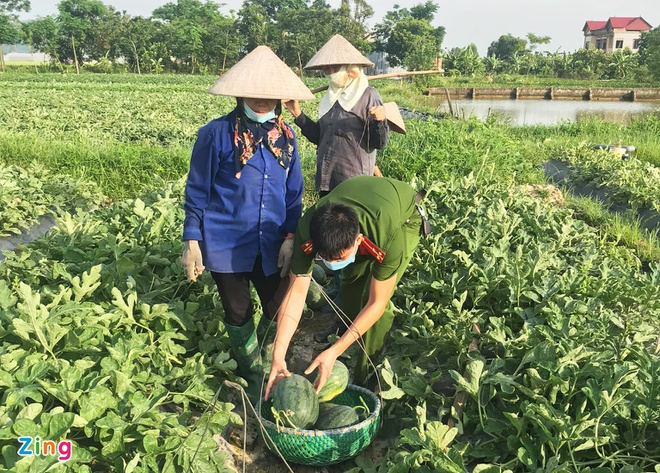 Police sell watermelons to help people in Bac Giang blockade areas Police sell watermelons to help people in Bac Giang blockade areas