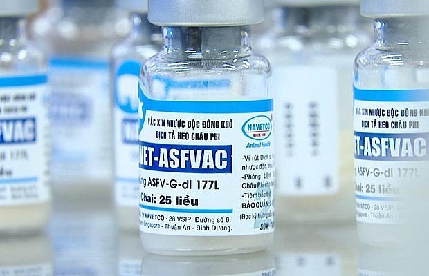 NAVET-ASFVAC is manufactured by the Navetco National Veterinary Joint Stock Company (NAVETCO). Photo: VNA NAVET-ASFVAC is manufactured by the Navetco National Veterinary Joint Stock Company (NAVETCO). Photo: VNA