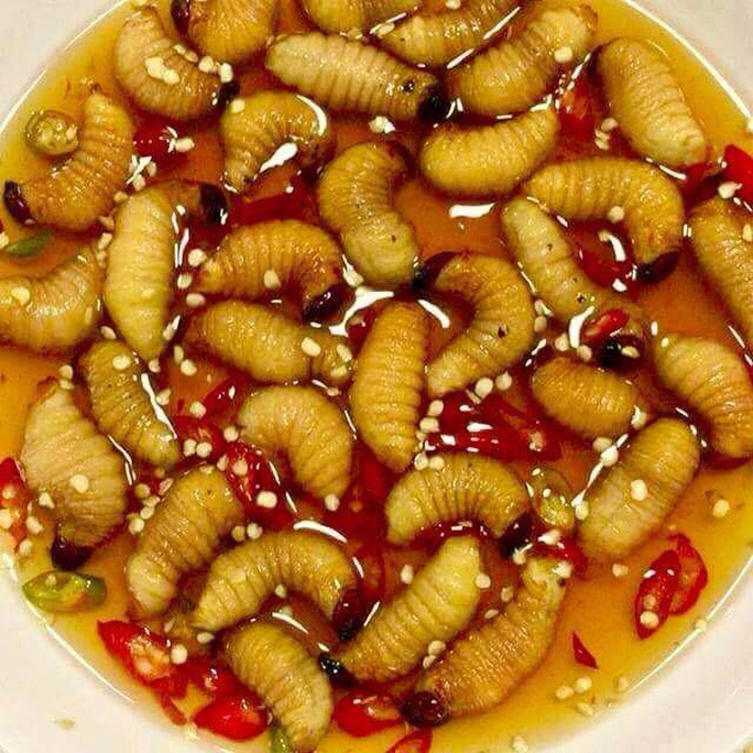 Top 5 Vietnamese Dishes That Shock Western Customers Weird & Wonderful Vietnamese Dishes That Shock Foreign Foodies