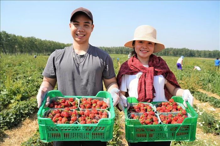 Vietnamese Students Participate in International Volunteering Program in Moscow Vietnamese Students Participate in International Volunteering Program in Moscow