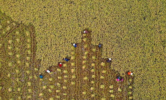Vietnam's Economic Recovery Plan for Post-Pandemic Vietnam's Post-Pandemic Economic Recovery Plan