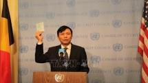 foreign diplomats congratulate vietnam on fulfilling role of unsc president