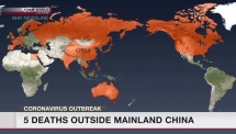 animals live for man chinas appetite for wildlife likely to survive virus