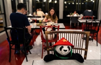 hong kong extends social distancing restrictions after a new cluster of coronavirus infections
