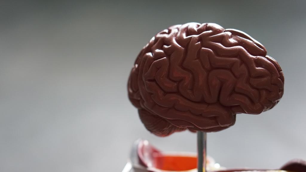 Neuroscientists and specialist brain doctors say emerging evidence of Covid-19's impact on the brain is concerning. 4231 robina weermeijer so1l3jsdd3y unsplash