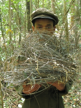 snaring wildlife animals may spawn disease transmission warns wwf