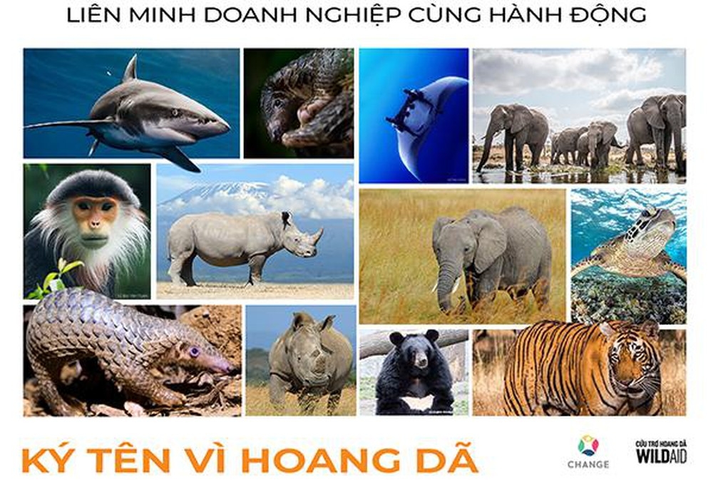 A poster calling publicity to join hand for advocacy campaign 5609 79102c4d750e9c50c51f