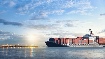 how can vietnamese firms adapt to the new normal of international business