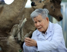 Dr. Dang Huy Huynh: Lifetime scientist and hero of biodiversity