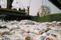 vietnam may surpass thailand in rice exports