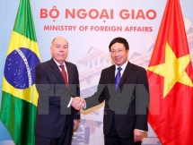 Vietnam, Brazil enhance comprehensive cooperation