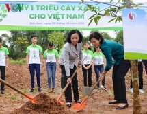 100,000 green trees planted in Bac Kan