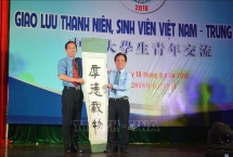 Vietnamese and Chinese youths engage in exchange in Da Nang
