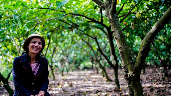 USAID helps transform Vietnam's cacao industry