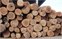 covid 19 fallout reverberates around vietnams wood industry