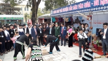 over 300kg of ammunitions explosives in dien bien phu city removed